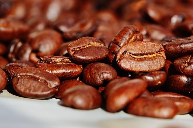 COSA SONO IL CAFFÈ ARABICA E IL CAFFÈ ROBUSTA?